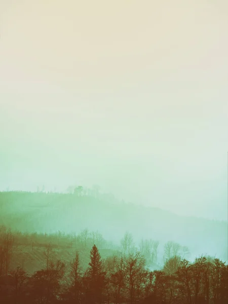 Nevoeiro da manhã com luz traseira bonita e árvores — Fotografia de Stock