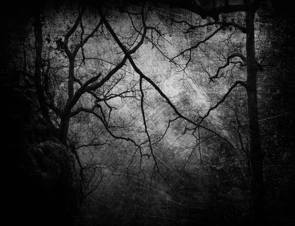 Темний і страшний ліс з гранжевими текстурами — стокове фото