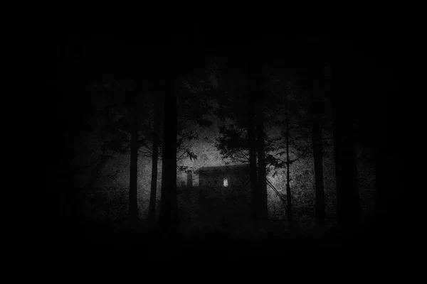 Maison effrayante dans la forêt d'horreur mystérieuse la nuit en noir et wh — Photo