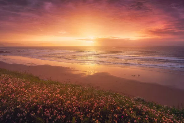 Güzel Gün Batımı Çiçeklenir Sopelana Beach — Stok fotoğraf