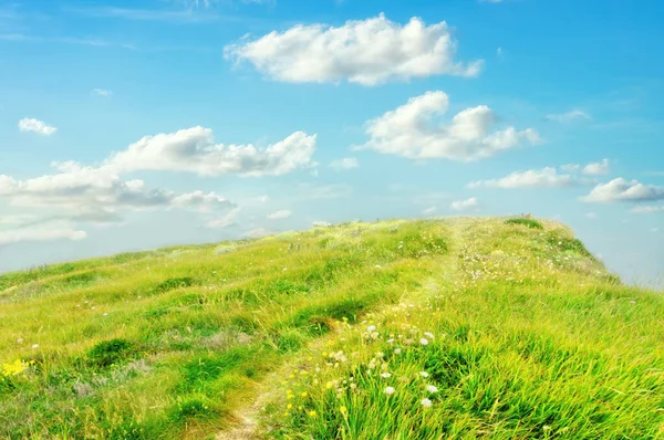 Schöner Pfad und Gras in der Natur mit blauem Himmel — Stockfoto