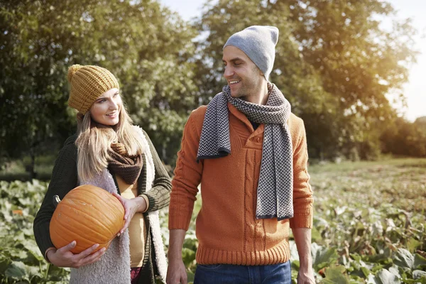 Couple spending time on pumpkin field — Stock Photo, Image