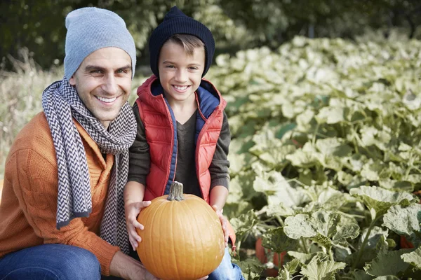 Pai e filho Escolhendo abóbora perfeita no Halloween — Fotografia de Stock
