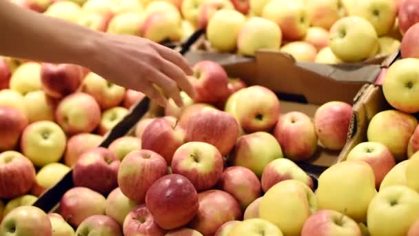 Woman choosing apples — Stock Video