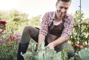 kendi alanında adam çiftçi