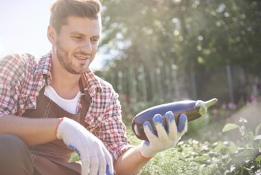kendi alanında adam çiftçi