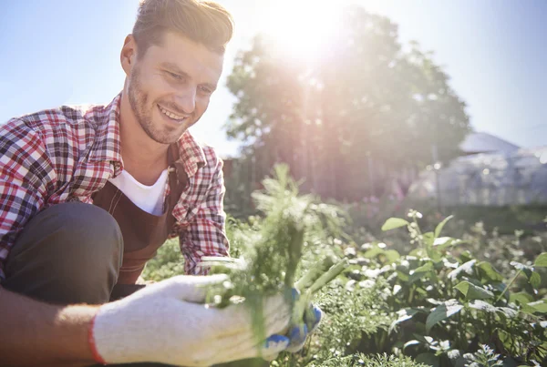 Man bonde på sitt område — Stockfoto