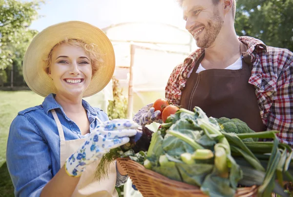 Jovens agricultores em campo — Fotografia de Stock