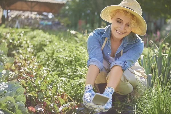 Woman working on her farm — Stock Photo, Image