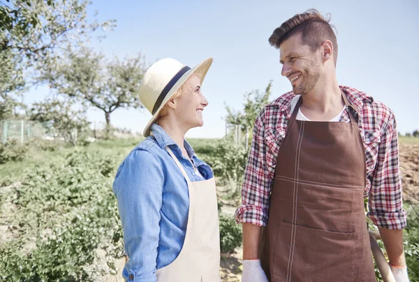 Young farmers on the field — Stock Photo, Image