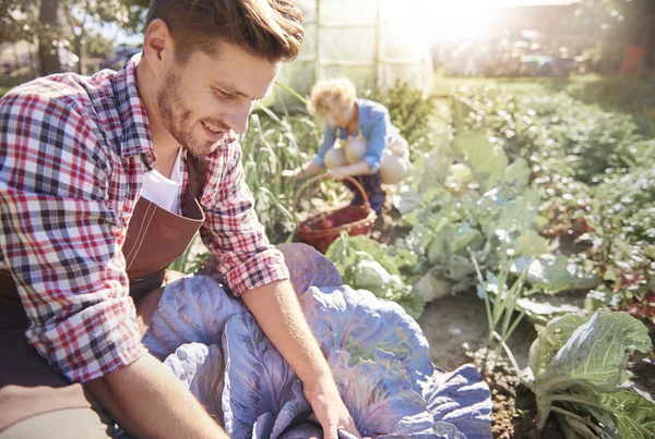 Man farmer on his field — Stock Photo, Image