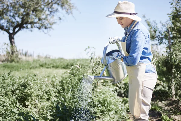 Woman working on her farm — Stock Photo, Image