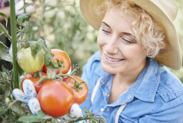 Frau im eigenen Gemüsegarten — Stockfoto