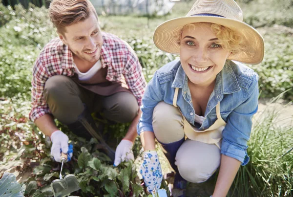 Jóvenes agricultores en el campo —  Fotos de Stock