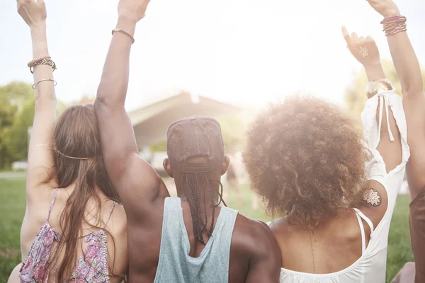 Amigos en el festival de música —  Fotos de Stock