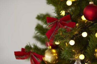 Yeşil Noel ağacı