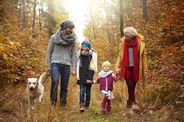 Família caminhando pela floresta — Fotografia de Stock