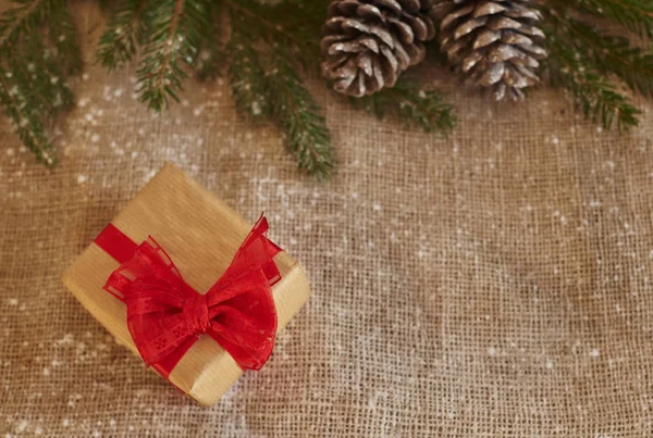 Cadeau de Noël et branche de sapin avec cônes de pin — Photo