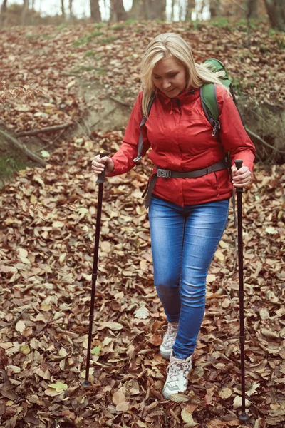 Vrouw wandelen in het bos — Stockfoto