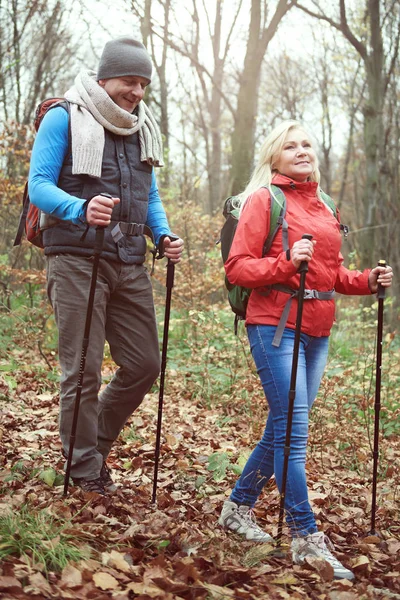 Caminhadas de casal no outono — Fotografia de Stock