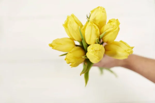 Bei tulipani gialli — Foto Stock