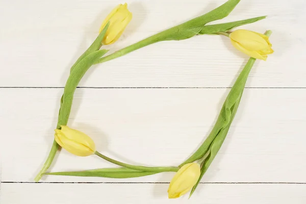 Hermosos tulipanes amarillos —  Fotos de Stock