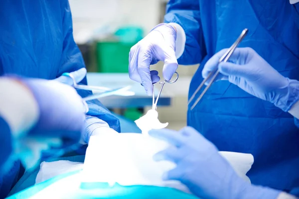 Surgery team in operating — Stock Photo, Image