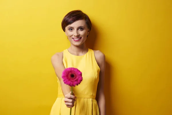 Frau mit rosa Gerbera-Blume — Stockfoto