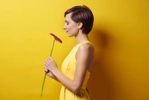Vrouw bedrijf roze gerbera bloem — Stockfoto