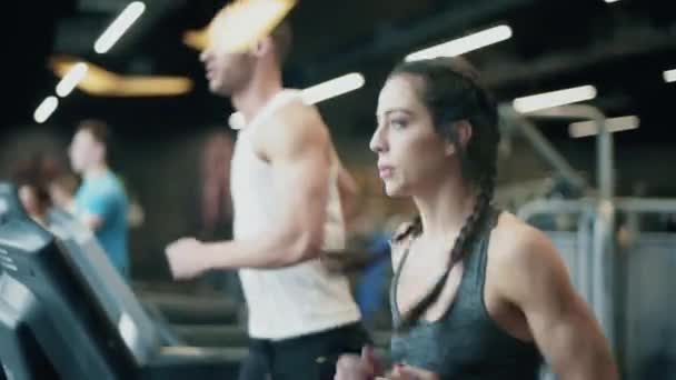 Couple training on elliptical machine at gym — Stock Video