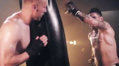 boksör antrenörü ile eğitim