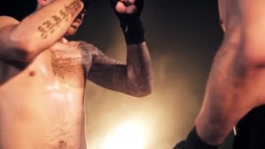 iki genç boksörler