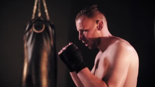 Boxeador joven haciendo ejercicio — Vídeos de Stock