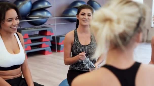 Жінки розмовляють у спортзалі — стокове відео