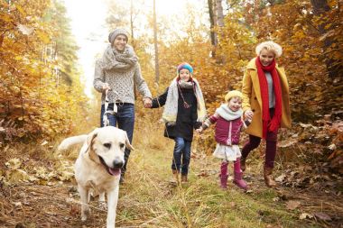 Sonbahar arka planda iki kuşak