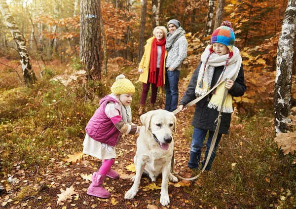 Barn och hund på koppel i höstlig skog — Stockfoto