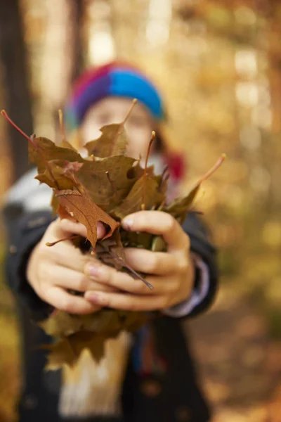男孩抱着大量的树叶在手中 — 图库照片