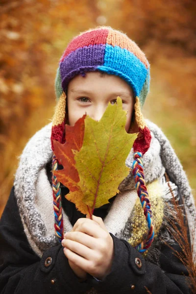 Jongen die betrekking hebben op gezicht met Herfstblad — Stockfoto