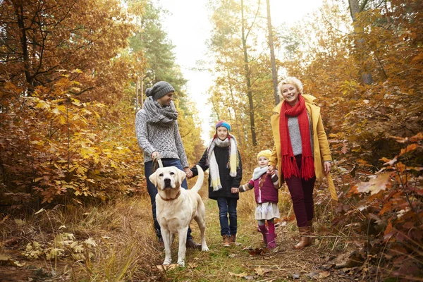 Pais e crianças passeando cão na floresta — Fotografia de Stock