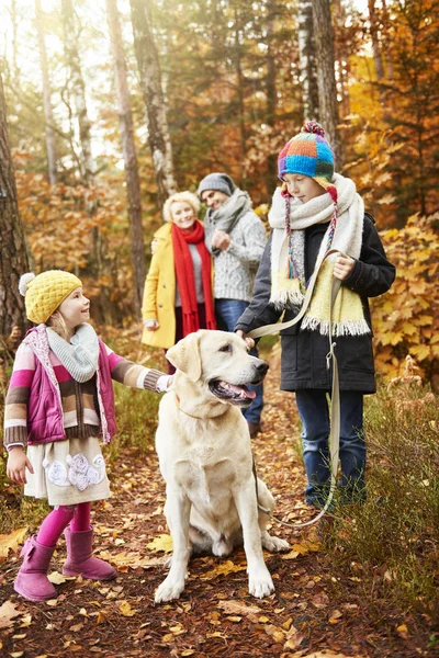Jesienią sezonu najbardziej kolorowe w cały rok — Zdjęcie stockowe