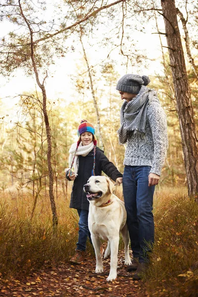 Trevligt sällskap i säsongens woods — Stockfoto