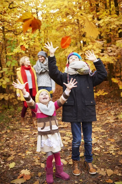 Bambini allegri che catturano foglie autunnali — Foto Stock