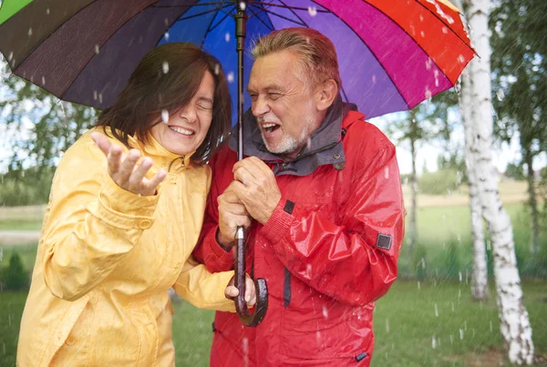 Alegre pareja adulta —  Fotos de Stock