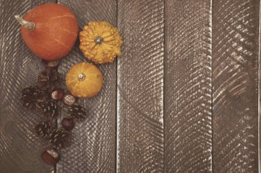 güzel sonbahar kompozisyon 