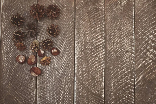 Conos de pino de otoño y castañas — Foto de Stock