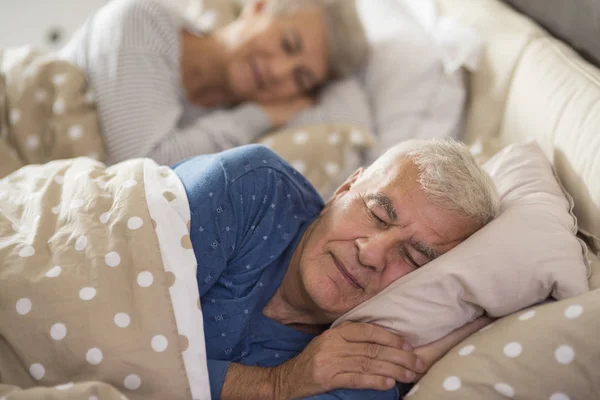 Пожилой мужчина и спящий шерстяник — стоковое фото