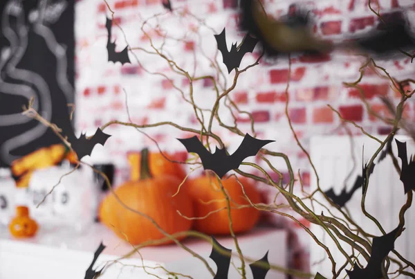 Morcegos e abóboras decorações — Fotografia de Stock