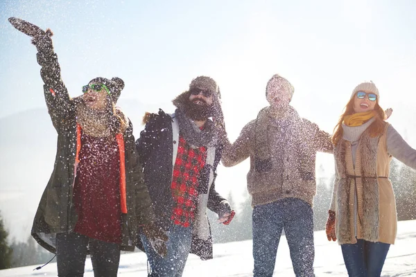 Arkadaşlar düşen kar