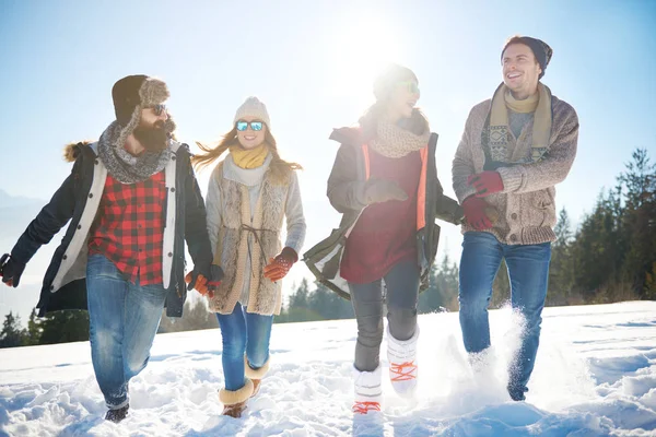 Üstünde belgili tanımlık tepe çalıştırmak winer sahip arkadaşları en iyi
