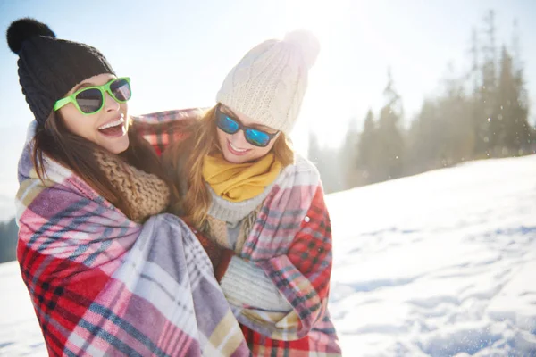 Açık kış sezonunda toplama 
